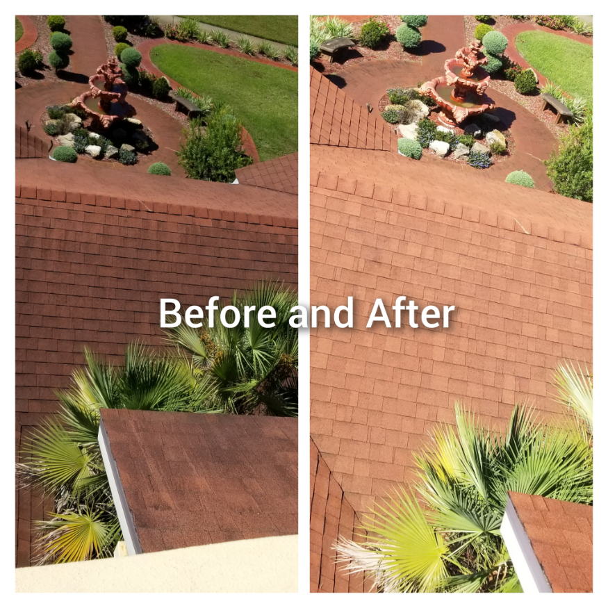 Roof cleaning